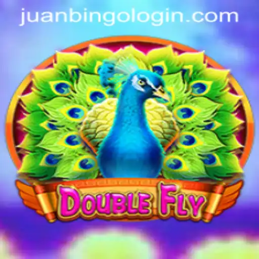 Explore the Thrills of DoubleFly: A Premier Gaming Experience